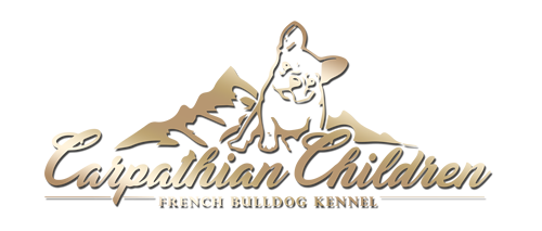 Carpathian Children French Bulldog Kennel